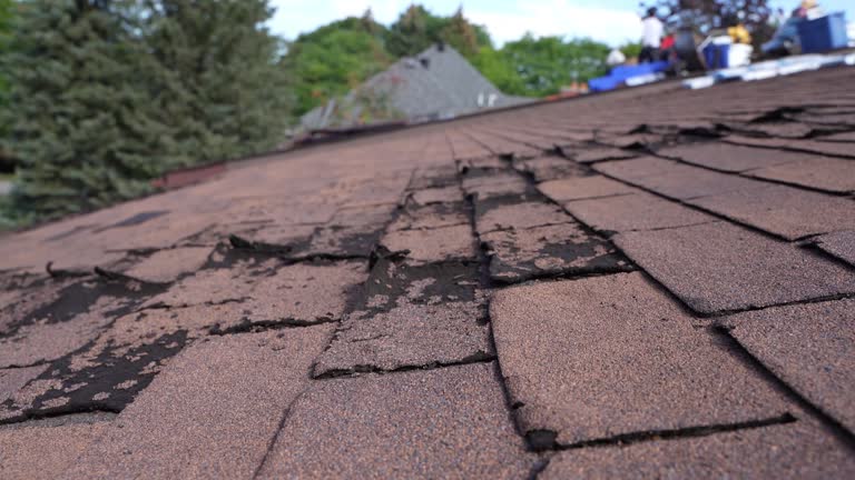 Best Steel Roofing  in Refugio, TX