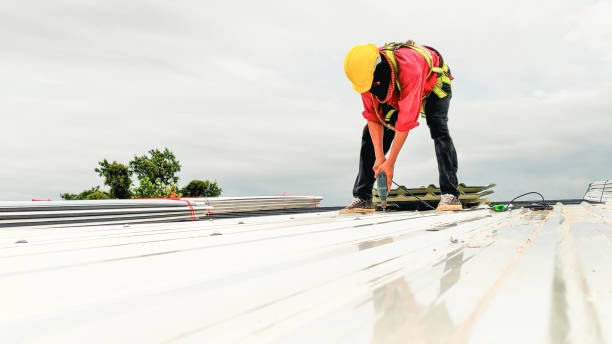 Best Roof Moss and Algae Removal  in Refugio, TX