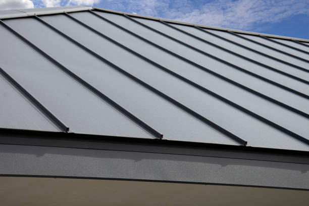 Best Skylight Installation and Repair  in Refugio, TX