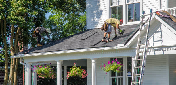 Best Roof Ventilation Installation  in Refugio, TX